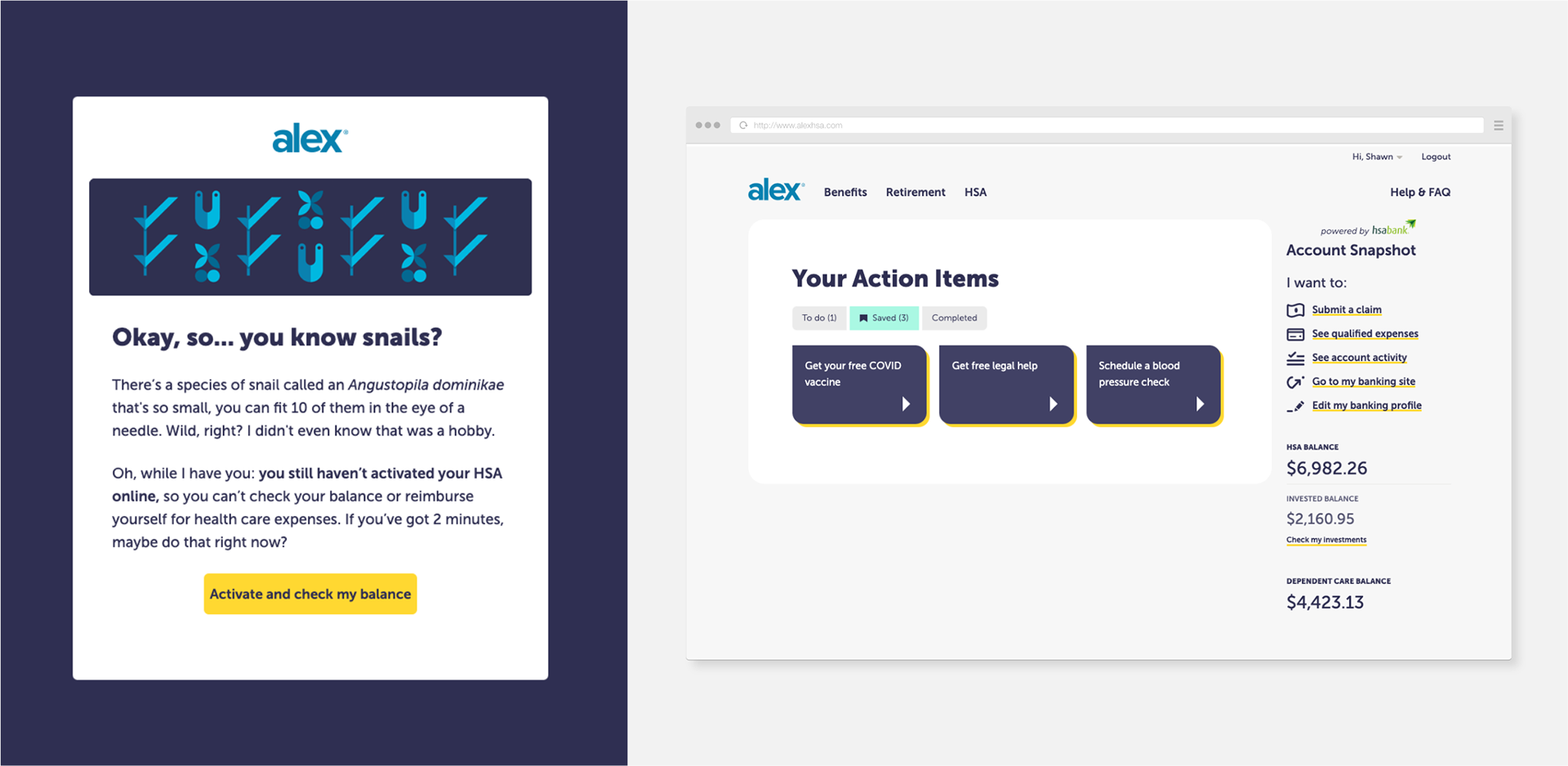ALEX HSA dashboard design and email campaign